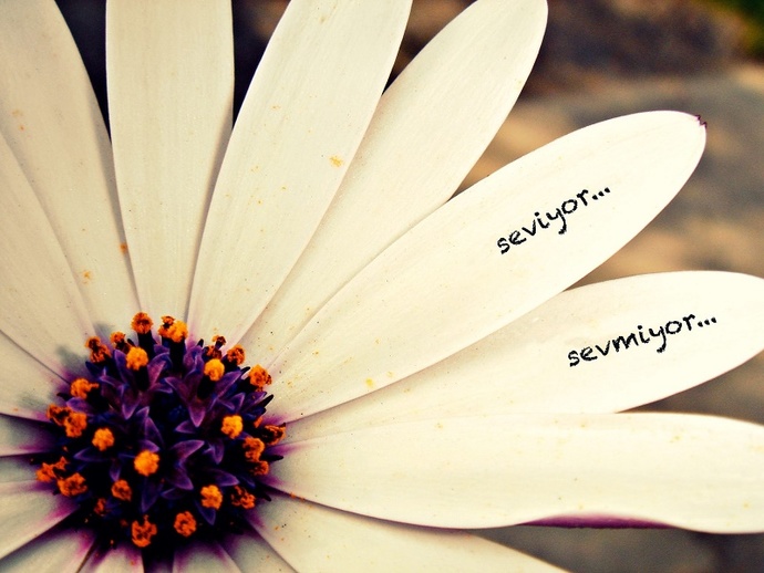 Senin için “seni seviyorum” veya “artık seni sevmiyorum” demekten daha zor olan nedir?