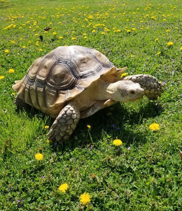 Soruyla fotoğrafın alakasını sadece yaratıcı zekalılar anlar;D ironidirr.