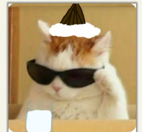 Ruh halinizi bir kedi görseliyle özetler misiniz❤?