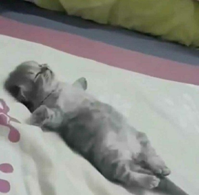 Şu an böyle..