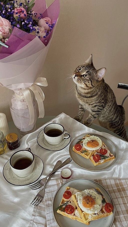 Pazar rutininiz var mı?