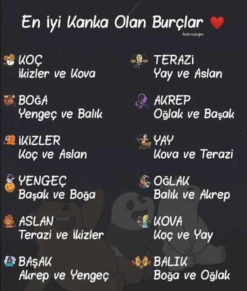 Sen, hangi burçla daha iyi anlaşıyorsun?