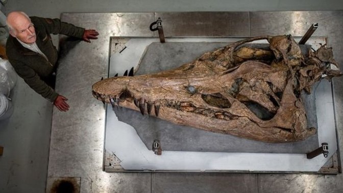 İngiltere'deki Jurassic Sahili'nde, 150 milyon yıl öncesine ait kafatası fosili bulunmuş. Siz bulsaydınız korkar mıydınız?