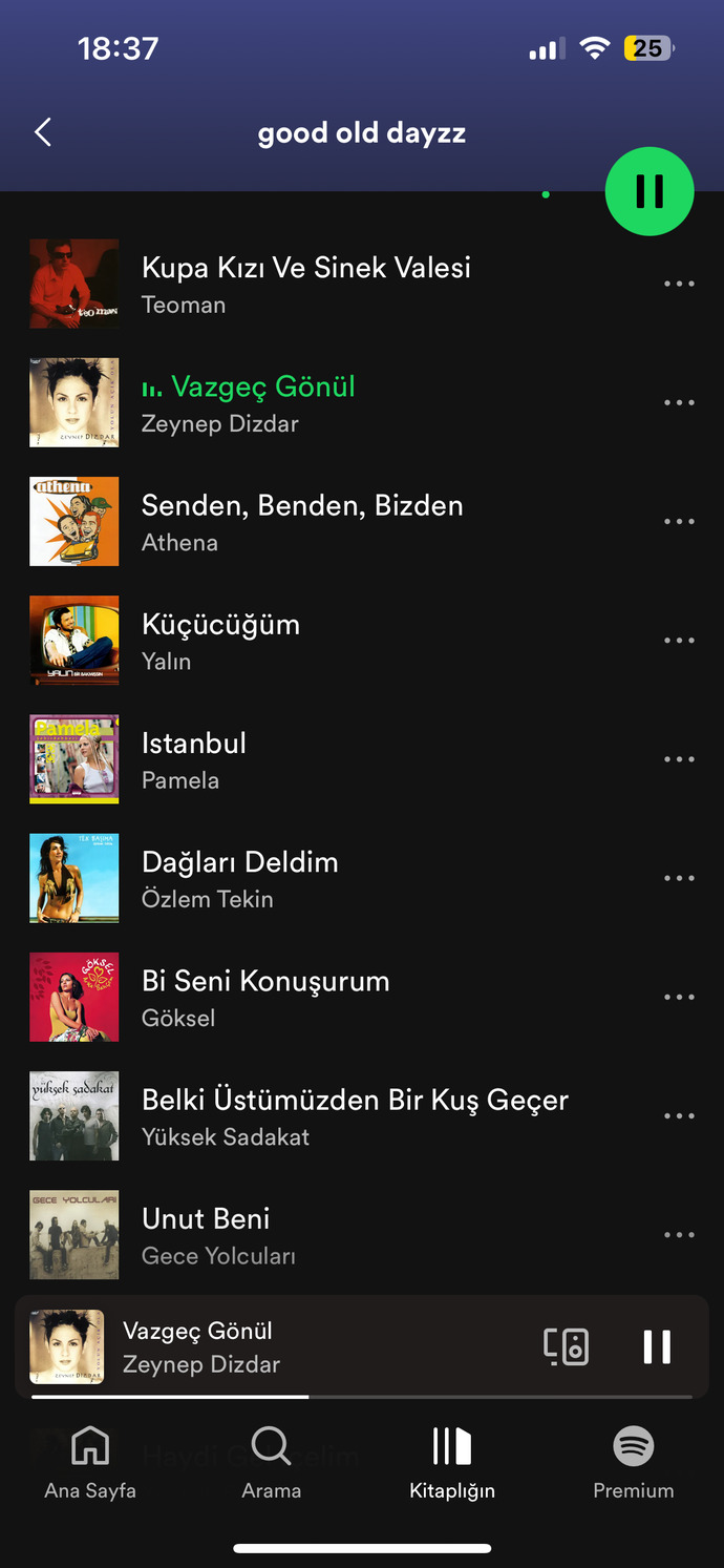 Dinlemekten bıkmadığınız şarkılar nelerdir?