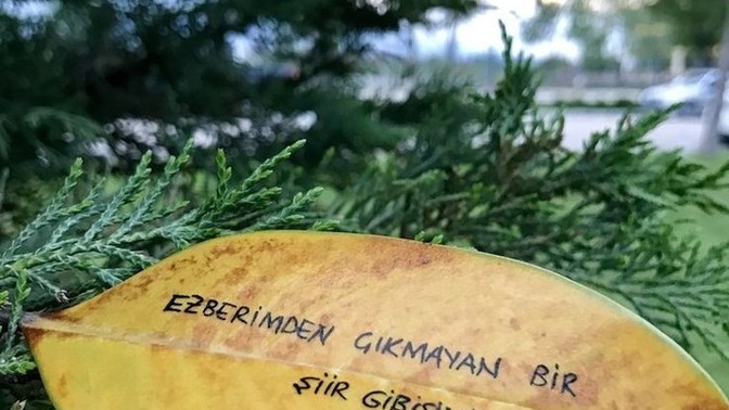 Hayatınızda hiç şiir yazdınız mı?