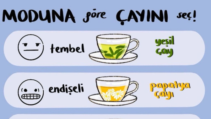 Sizin şu an hangi çaya ihtiyacınız var?