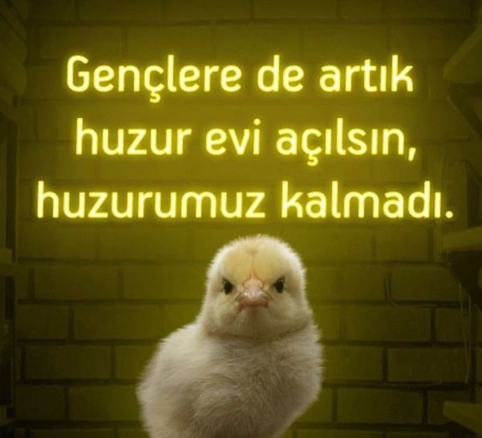 Huzur evinde gerçekten huzur var mıdır?