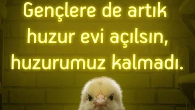 Huzur evinde gerçekten huzur var mıdır?