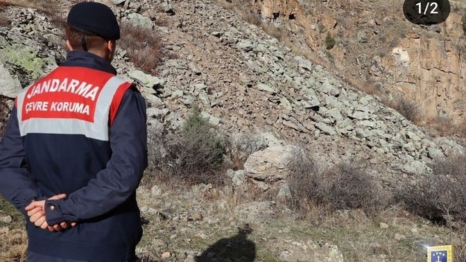 Jandarma'nın paylaştığı vaşak görselindeki vaşağı görebilen var mı?