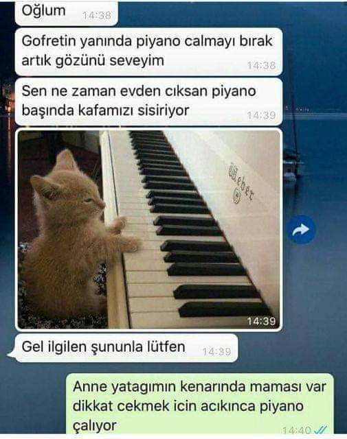 Dikkat çekmek için yaptığınız neler var?