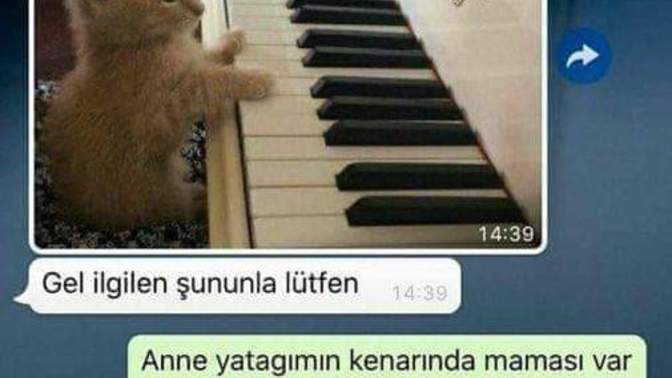 Dikkat çekmek için yaptığınız neler var?