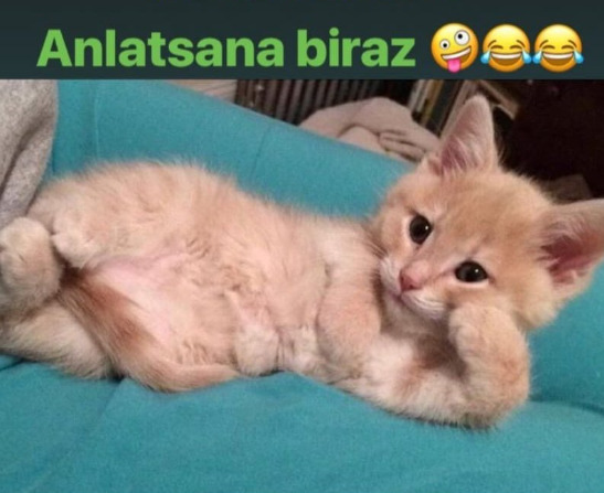 Fantezilere sahibim bunlardan nasıl kurtulabilirim?