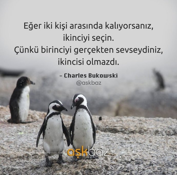 Yuva yıkanın yuvası olur mu?
