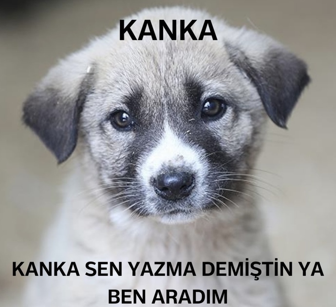 Aşık olunca gözüm kör oluyor, ne yapmam lazım?