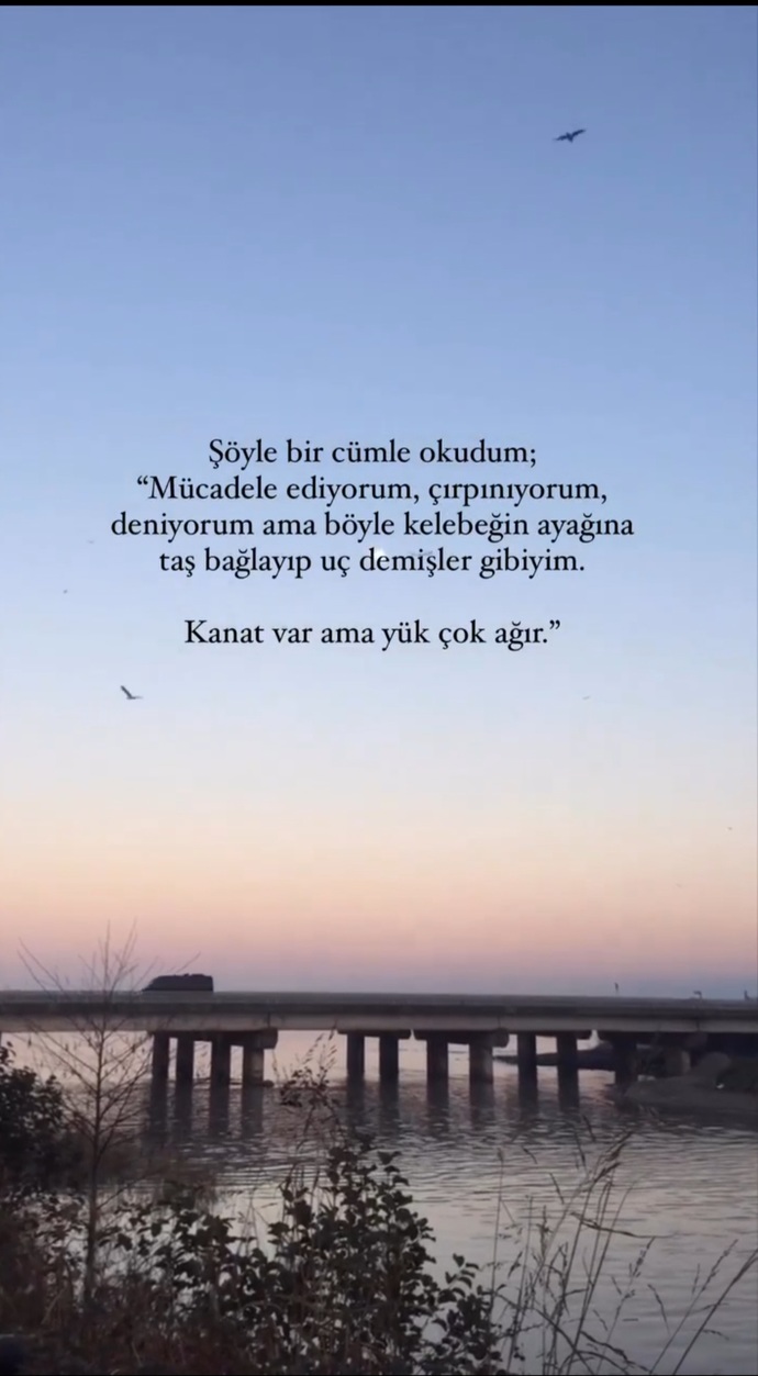 Sizler ne durumdasınız?