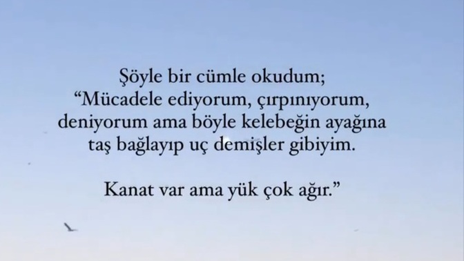Sizler ne durumdasınız?