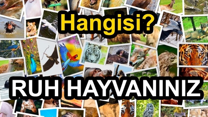 Sizce ruh hayvanınız hangisi?