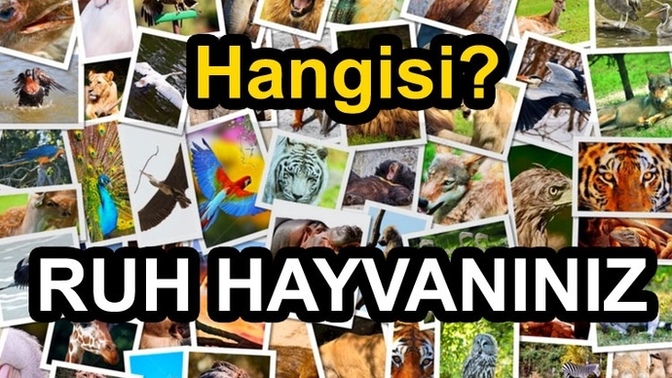 Sizce ruh hayvanınız hangisi?