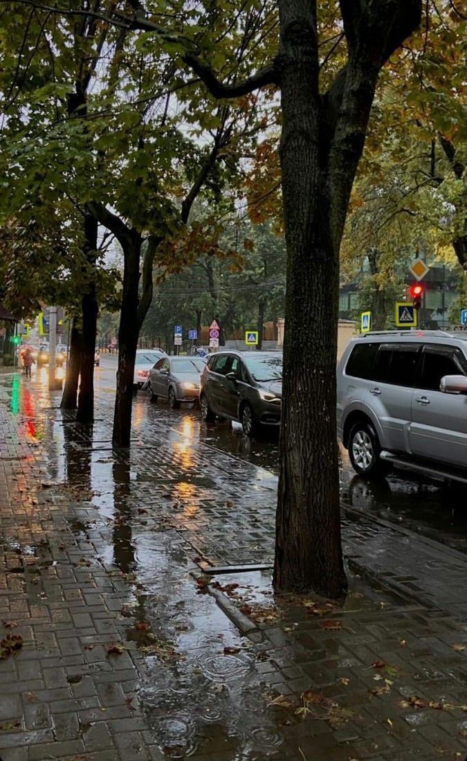 Sonra seni hatırlıyorum birden, zindanim aydınlanıyor. Kuşlar cıvıldıyor içimde. Yaşamak istiyorum 🍁