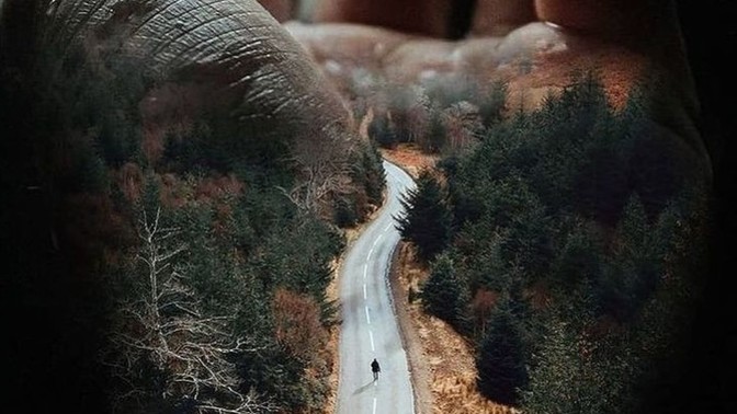 Hayatınız için nasıl bir yol seçtiniz?