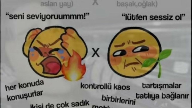 Aslan erkegi ile boga kadini anlasabilir mi? Uyumlari nasil olur?
