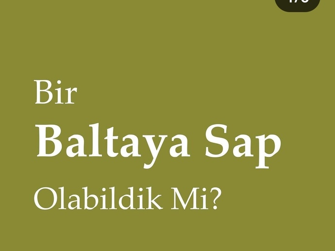 Bir baltaya sap olabildinizmi?