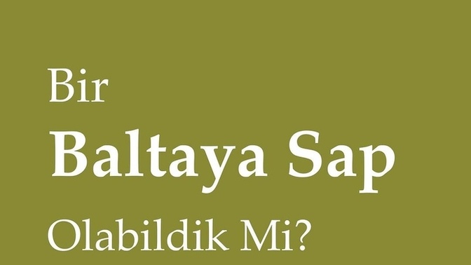 Bir baltaya sap olabildinizmi?