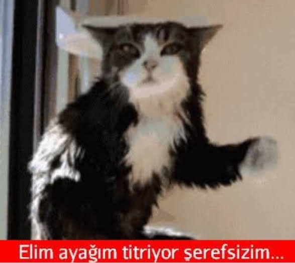 Aklınızı başınızdan alan birisi var mı?
