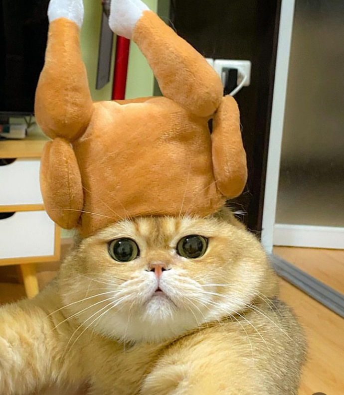 Senin en sevdiğin yemek ne?