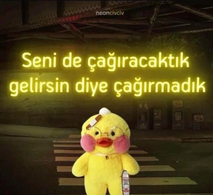 Niye almadınız arabaya mk?