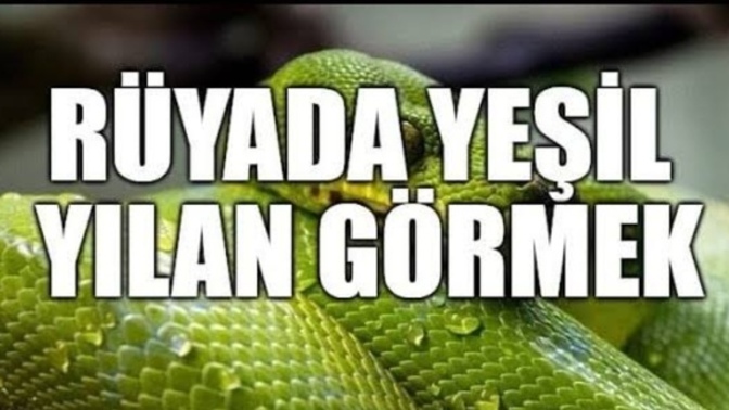 Rüyada bir sürü yeşil yılan görmek ne anlama geliyor?
