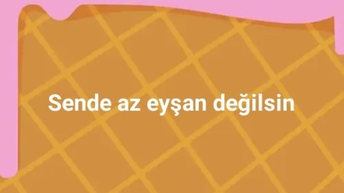 Hic eysanlik yaptın mi?