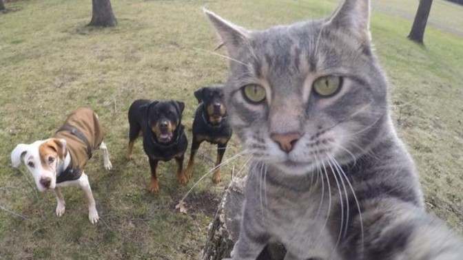 Fotoğraf çekilmeyi sever misin?