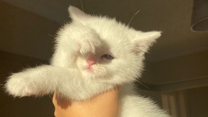 Sabahları gün aymış gibi uyanabilmek için ne yapmalıyız?