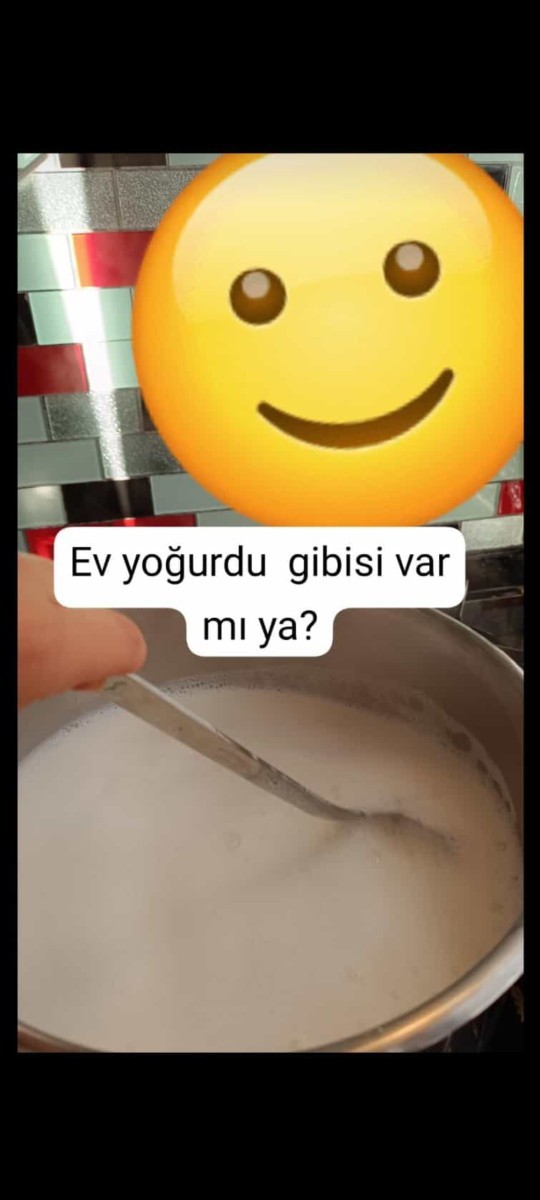 Ev yoğurdu mu market yoğurdu mu?