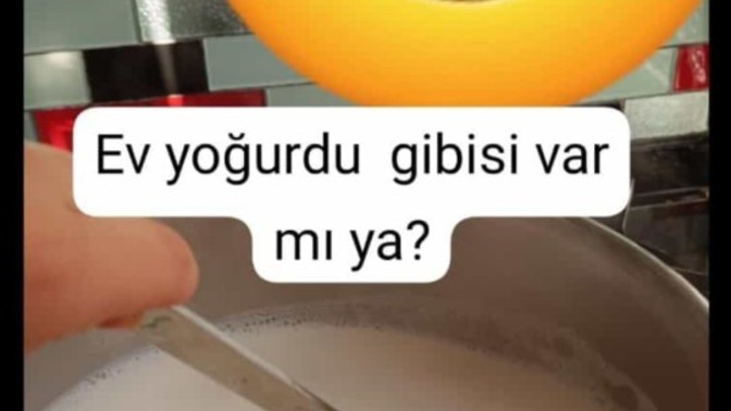 Ev yoğurdu mu market yoğurdu mu?