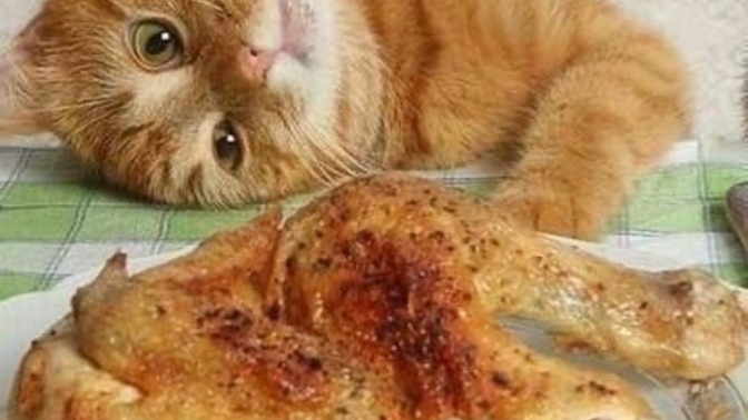 Yemede yanında yat tadında en son ne yediniz?