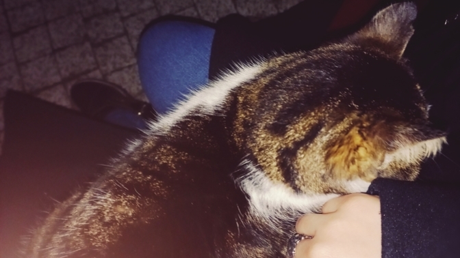Neleri kendine çekiyorsun?