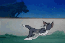 Sizi hiç köpek kovaladı mı😂?