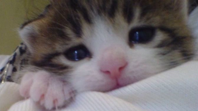 Kolay kolay üzülür müsünüz :/?