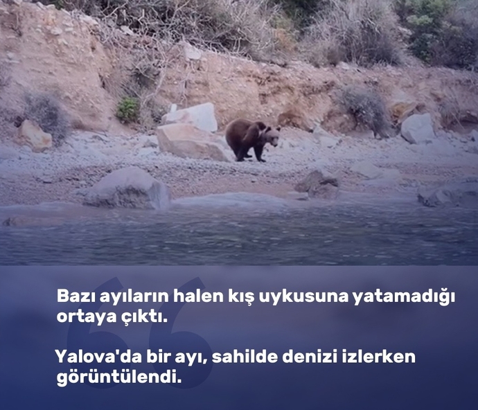 Uykuya kolay dalanlardan mısınız zor dalanlardan mı?