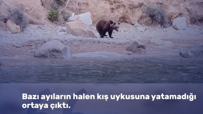 Uykuya kolay dalanlardan mısınız zor dalanlardan mı?