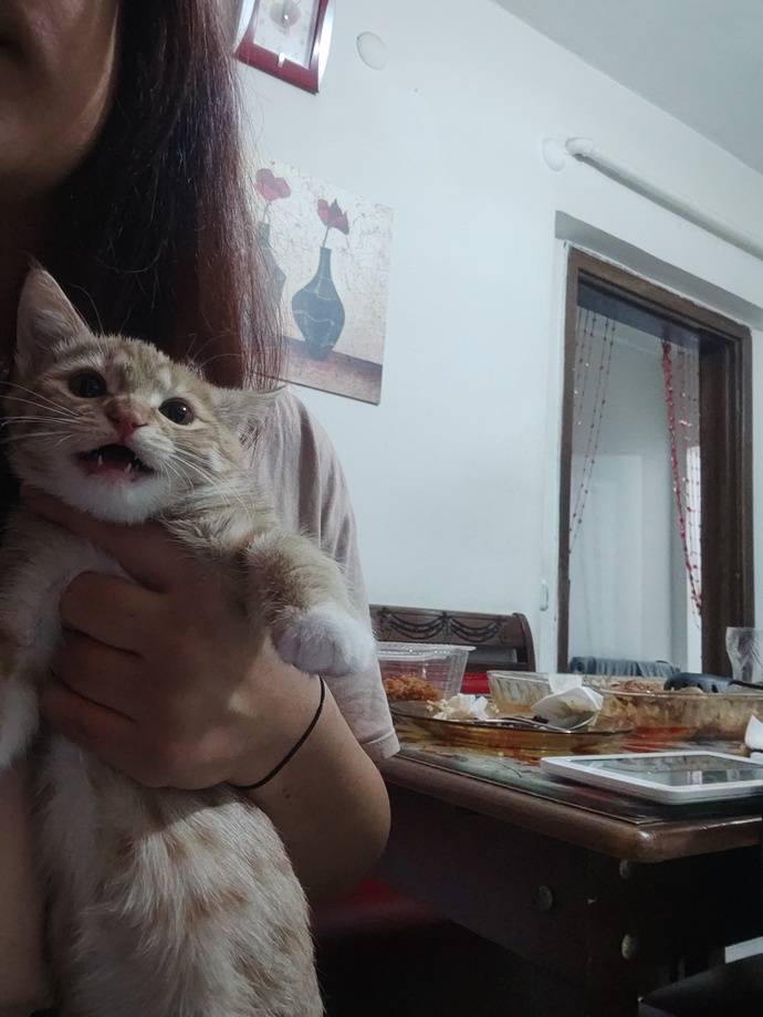 Dünyanın en tatlısı. Aksini iddia eden çıkar mı?