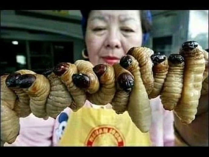 Çok acıksanız ve yiyecek bir şey bulamasanız, böcek yer miydiniz?