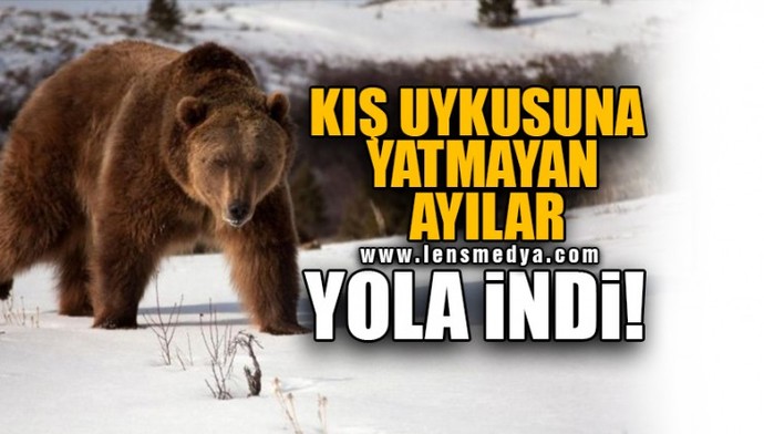 Tünaydin bugün neler yapcaksiniz plan program?