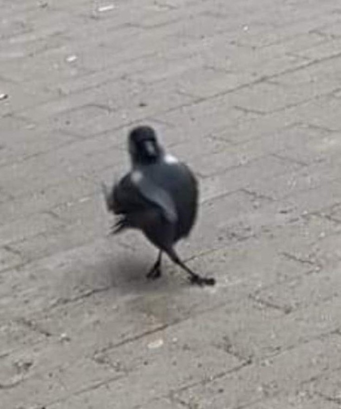 Nasıl bir duruşunuz var?