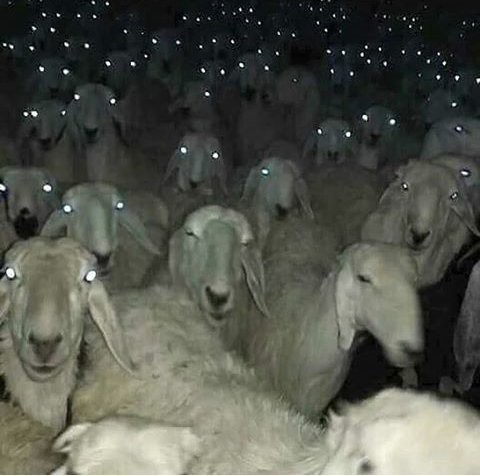 Aşık oldum, tutuldum resmen. Benden 7 yaş büyük, bence normal bir fark. Sizce bu yaş farkı çok mu?