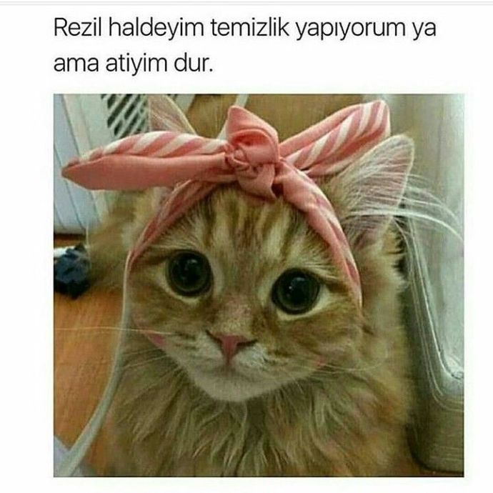 Bu yağmurlu pazar gününde yapılacak en güzel aktivite nedir?
