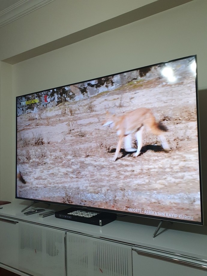 Evinizde kaç tane televizyon var?