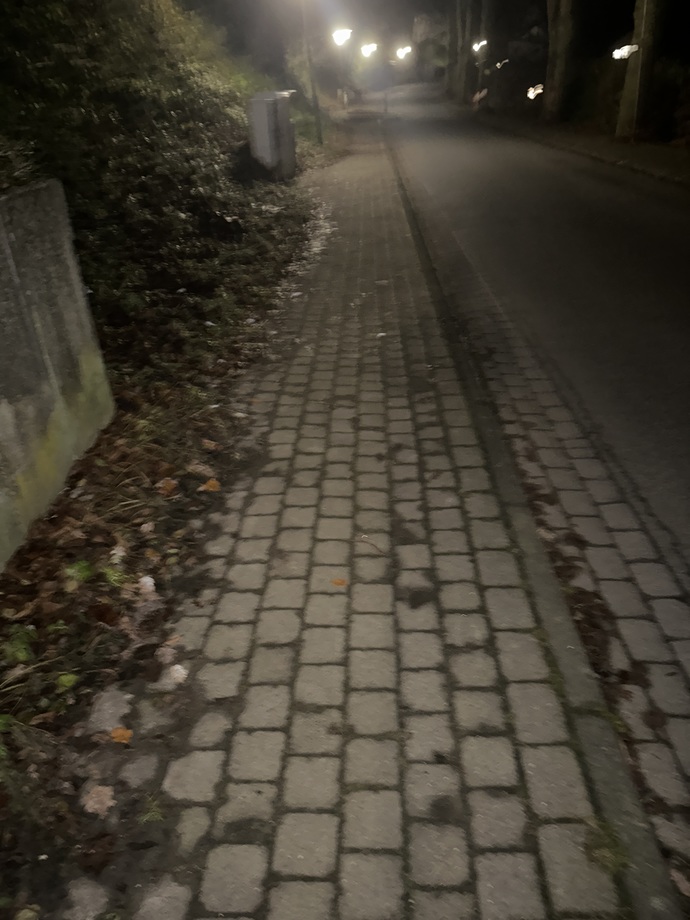 Gece Sessizliğinde yürüyüş